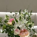 수원 롯데몰 타임빌라스 에비뉴엘 오렌지 라운지 후기 : 야외 테라스의 여유 🌿🧡