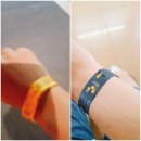 부산 인디커넥트 페스티벌(BIC) 후기 이미지