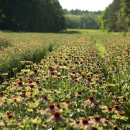 정은농장 이미지