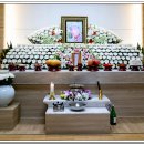 일신장의 이미지