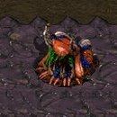 인스네어(ENSNARE) 이미지