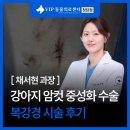 협진설비 | 강아지 암컷 중성화 수술, 절개와 회복 부담을 줄인 복강경 수술 후기