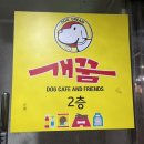 개꿈 | 청주 산남동 유기동물 입양지원센터 &amp; 애견카페 개꿈
