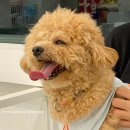 노라도라 이미지