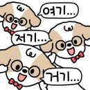 쌍암대패
