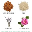 와우러쉬