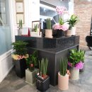 여기는미용실 이미지