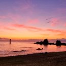 바다나루 이미지