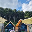 달빛솜솜키즈풀빌라 이미지