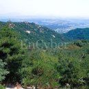용봉산산림전시관 네이버블로그