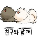 상남견 이미지