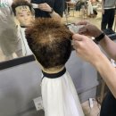 남자커트 이미지