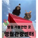 정관장 영월전시판매장 | 영월여행#1_영월 가볼만한 곳_영월관광센터(청령포 근처, 식사, 체험)