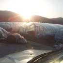 신월농장 이미지