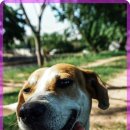 한마음동물병원 이미지