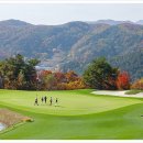 덕유산CC 네이버블로그