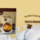 옥광 티스토리