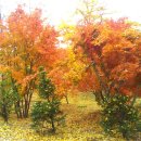 습관도 습관이다 이미지