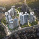 더 포레스트 이미지