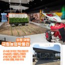 국립대구박물관 북문 야외 | 수원 국립농업박물관, 무료로 이렇게 알찰 일인가요? 농업관, 식물원, 곤충관 후기