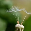 태평양공인중개사무소 이미지