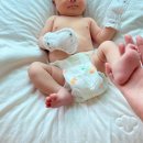 고흥한의원 | 육아일기 chapter 02. 둘째 달 / 신생아 졸업, 1개월차 나무