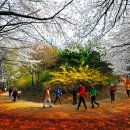 계족산황톳길 이미지