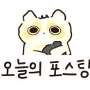 담솜
