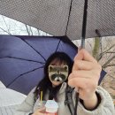 행운스테이 | [여행] 12월 도봉산 눈 오는 겨울 천축사 템플스테이 후기