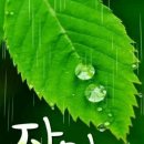엔비디아 "젠슨 황" 이미지