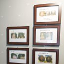 (주)닥터스아이디어 | 송도 두피관리 :: 가렵고 건조한 두피, 관리받고 탈모예방해요!- 닥터모락 송도점