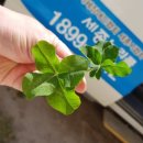 종촌초등학교 이미지