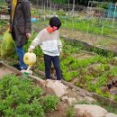 삼각산농장 이미지