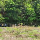 여주고등학교 이미지