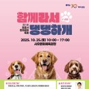 반려문화 티스토리