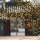 동편제거리 조형물 이미지