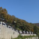 가평캠핑장 캠프게이트 청평 카라반 이용 후기