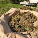 가족사랑요양원 | 🌿 후불제 상조 가족사랑휴 이용후기 | 만족도 높은 가족납골묘 조성 과정