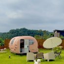 솔펜션 | 감성 가득한 홍천 애견독채펜션 솔아페🌲｜반려견과 힐링여행