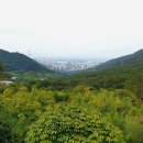 화명수목원 이미지