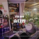 양화로 183 홍익인간오피스텔 | [홍대 카페] 아지트 발견! 분위기 좋은 레트로 감성 이색 카페 숲다방