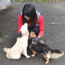 유동 마을회관 이미지