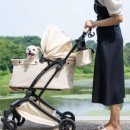 도그루아 이미지