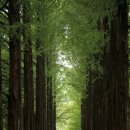 1박2일테마 이미지