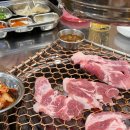 몽키노래연습장 이미지