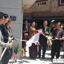 일신매화 이미지