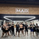 부산대 팀매드 이미지