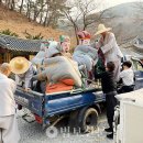성보 이미지