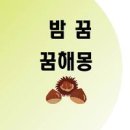 밤꿈 해몽 태몽부터 밤줍는꿈까지 다양해요 이미지