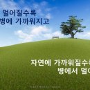 인체의 비밀- 자연 치유력 이미지